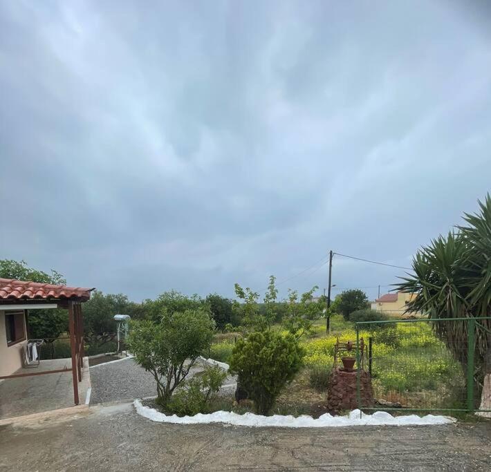 فيلا Philip & Vivian'S House Vingláfia المظهر الخارجي الصورة